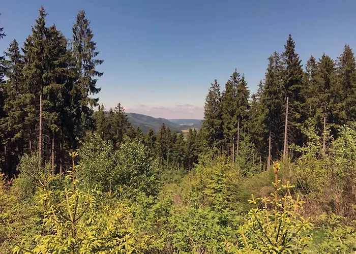 Apartment Waldwunder *